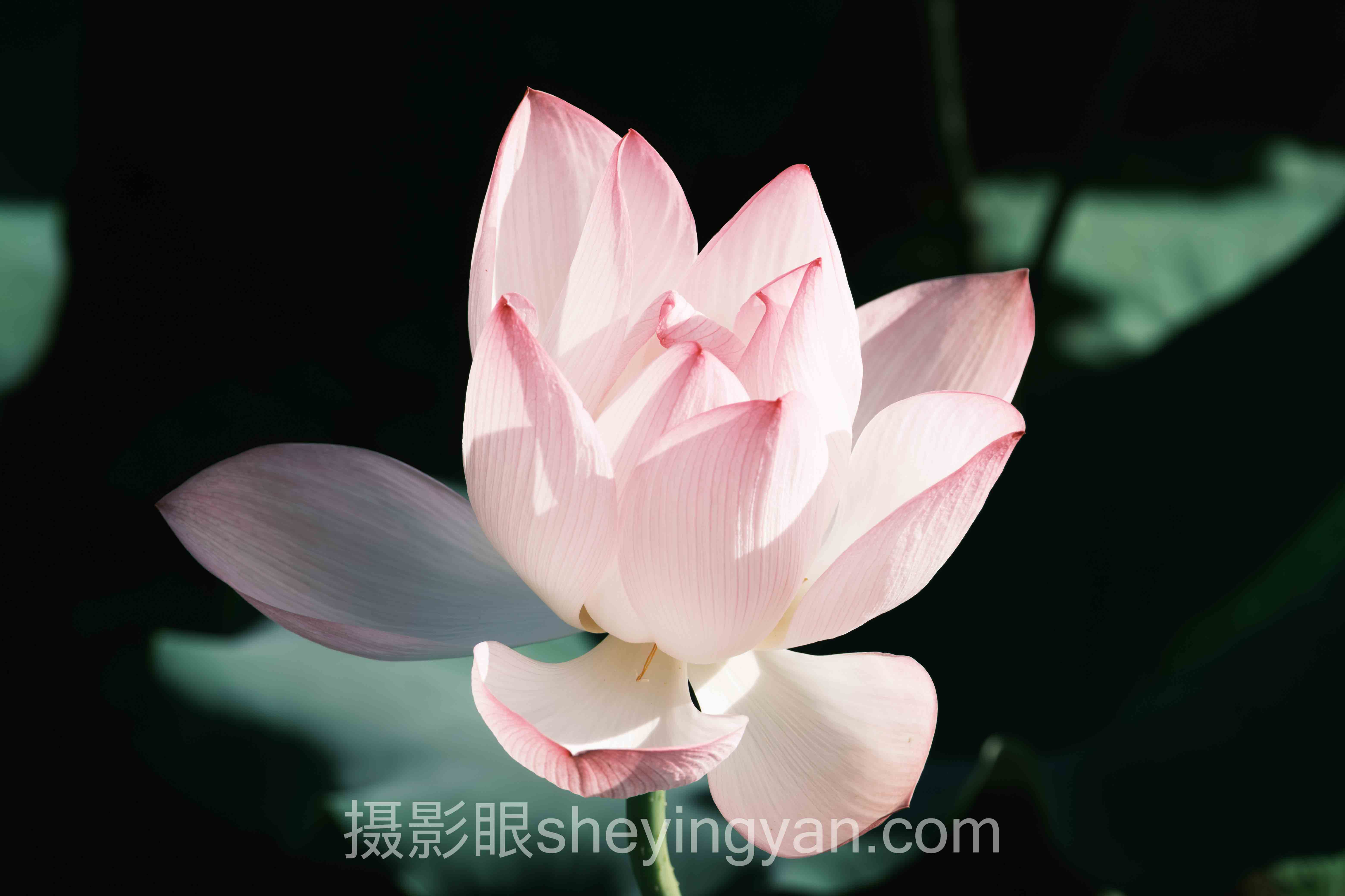 旅拍相机拍照攻略怎么做？3个案例告诉你答案