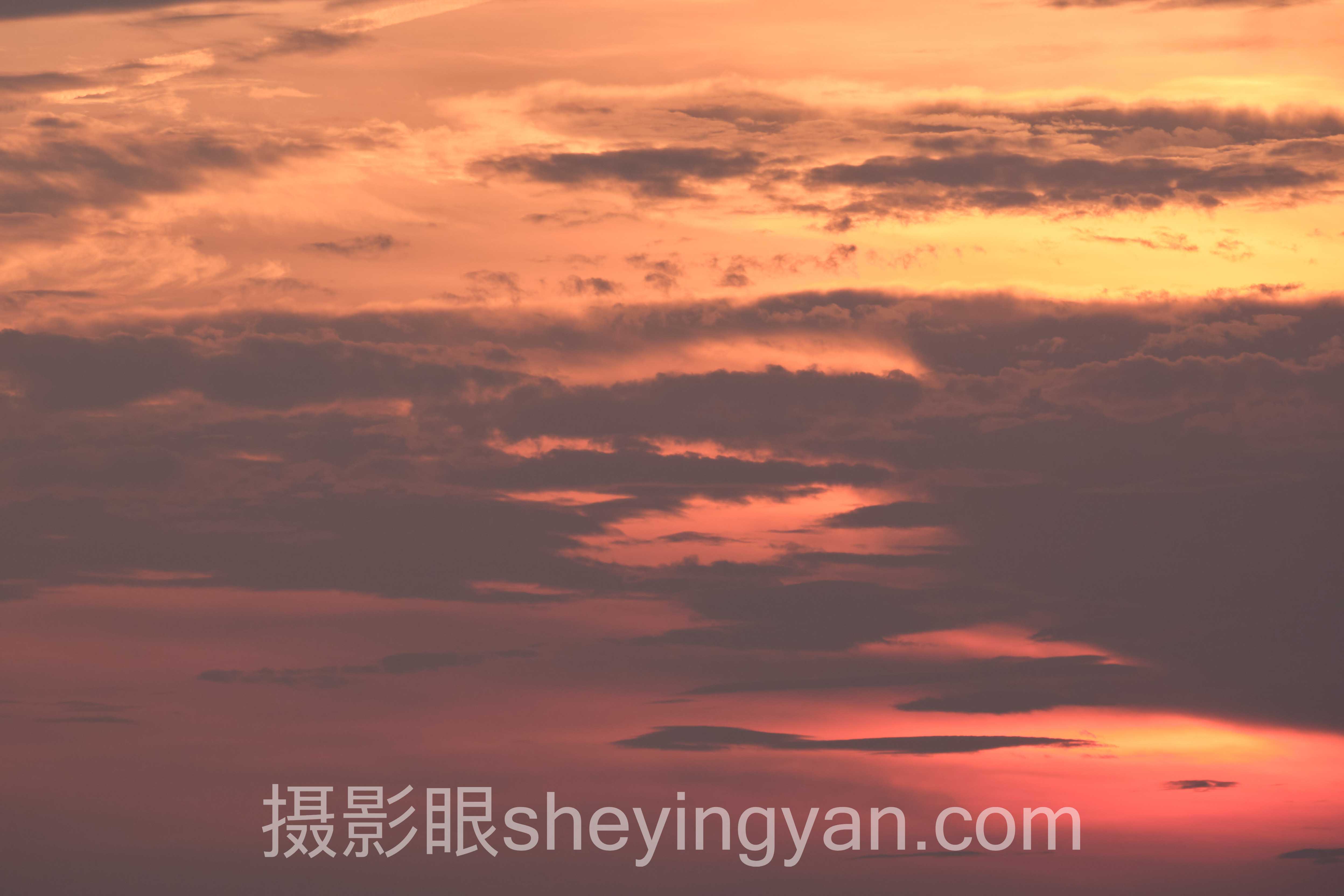 选人像摄影评分标准不踩坑:多维度对比指南