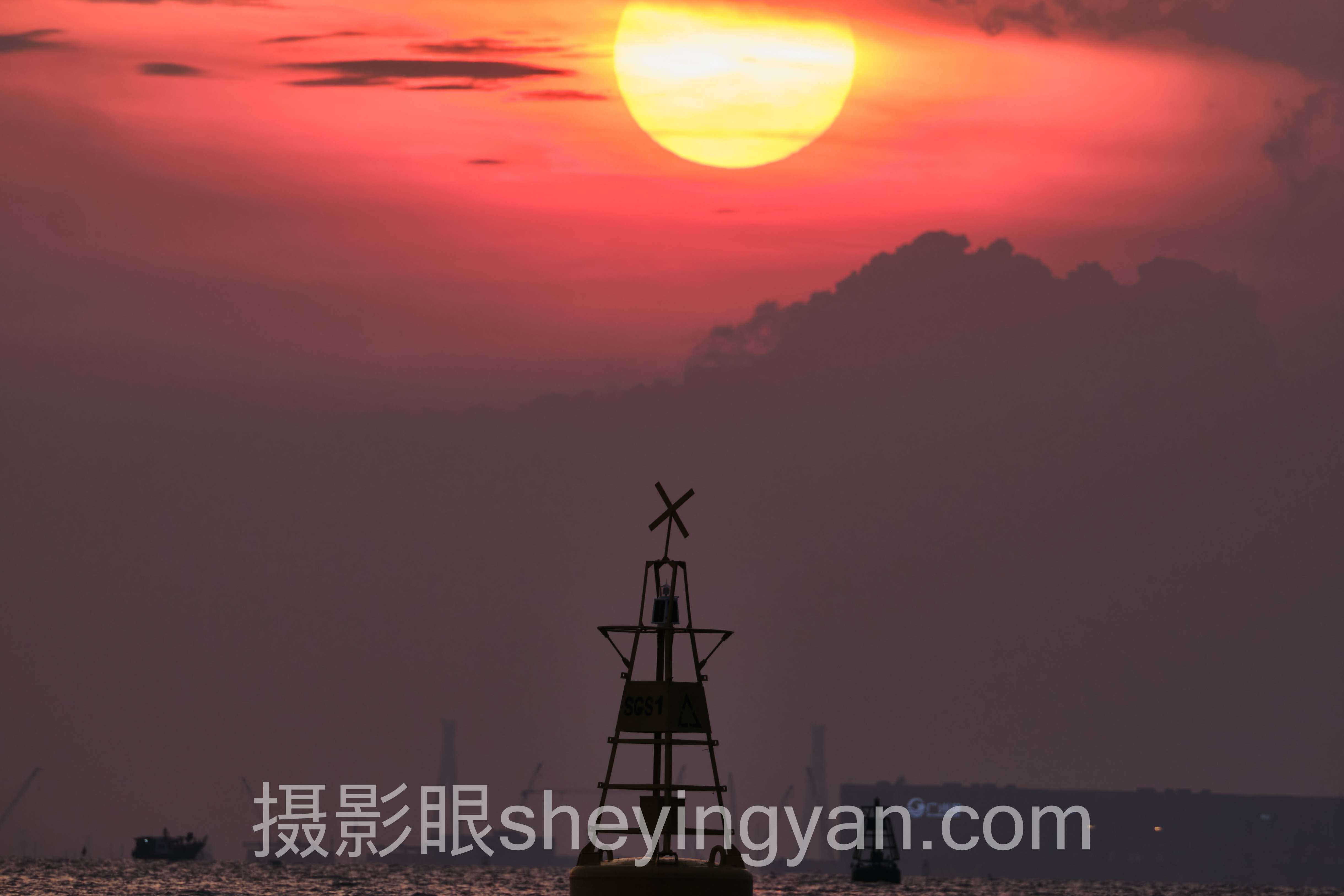 数据说话:动物摄影在照片点评平台的最新发展现状