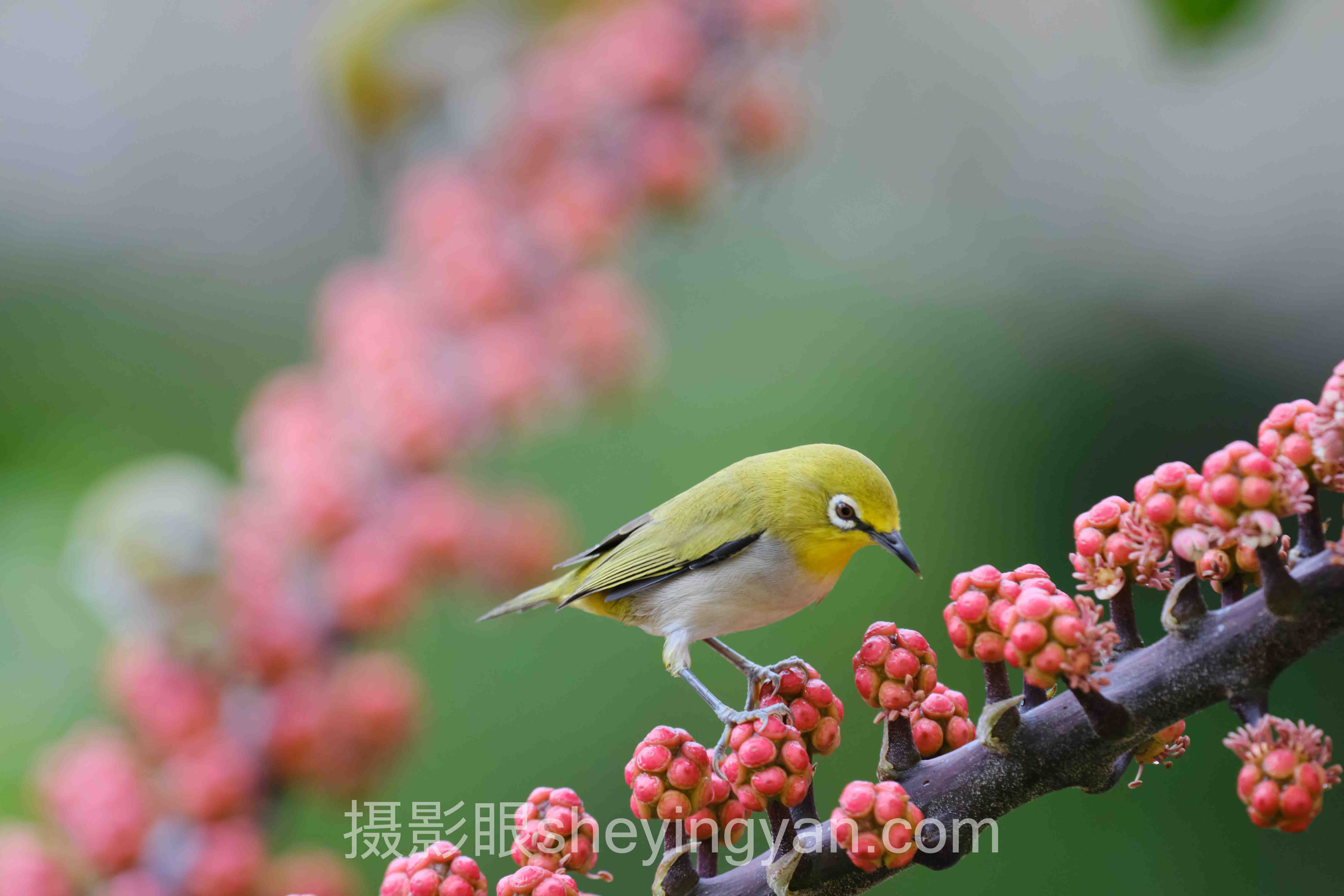 对话行业专家：摄影眼和普通拍照区别的关键洞察与前瞻