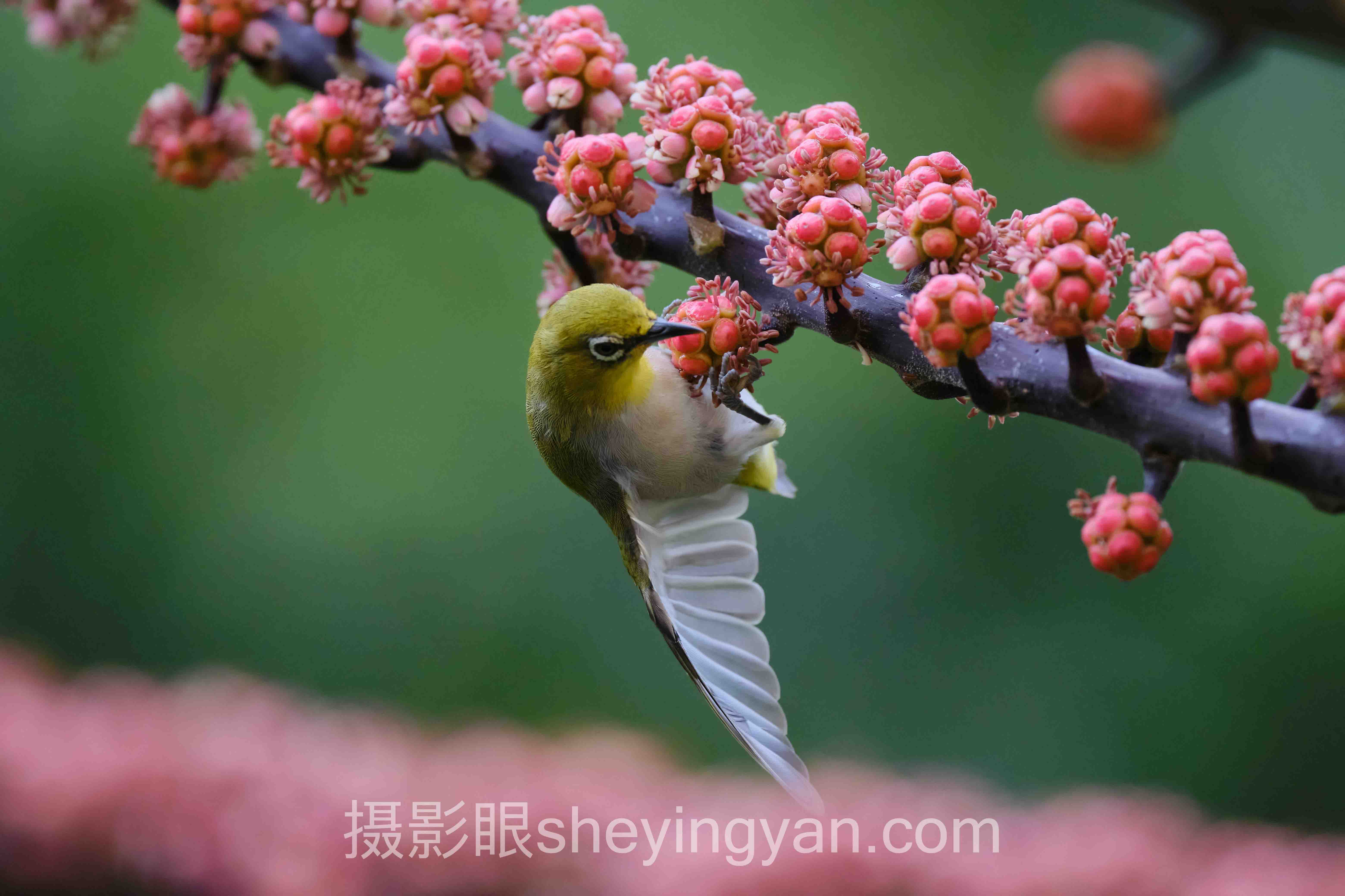 数据说话：照片没有亮点的症结与照片点评最新发展现状