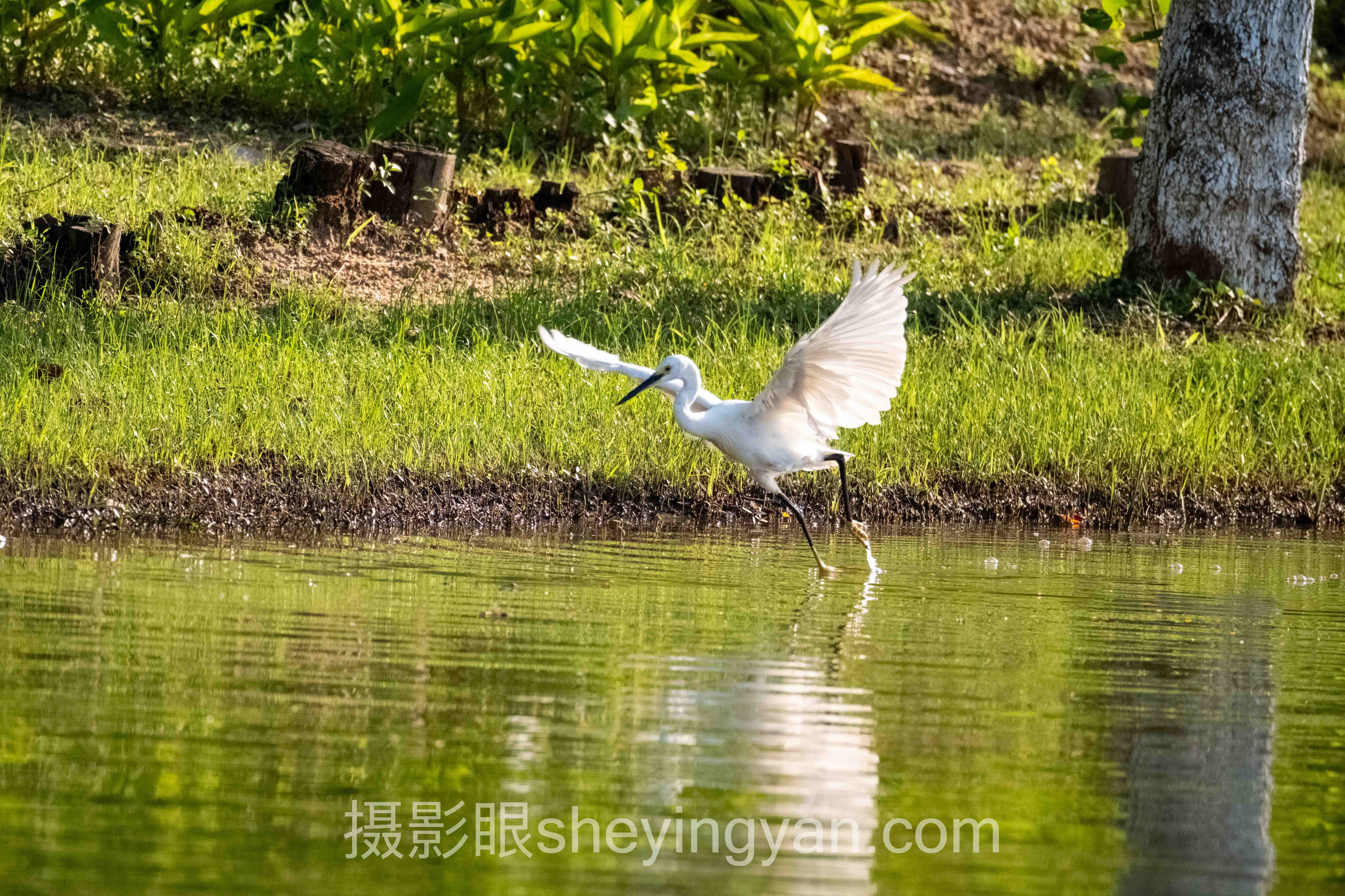 人像摄影照片点评:为什么多数点评其实在帮倒忙